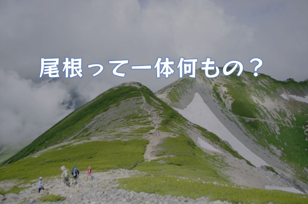 尾根とは？｜わかりやすく説明すると？｜地形図でどう表現される？