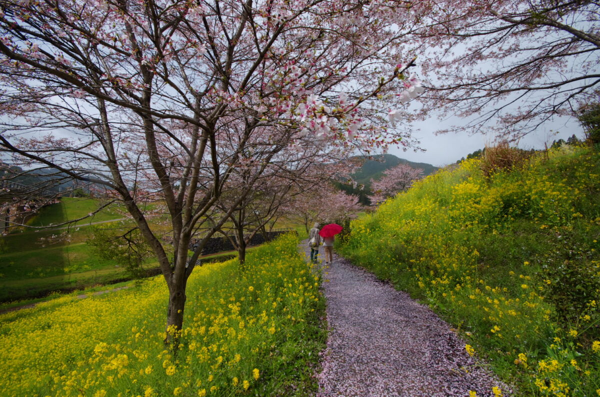 無限に広がる未来に向かって