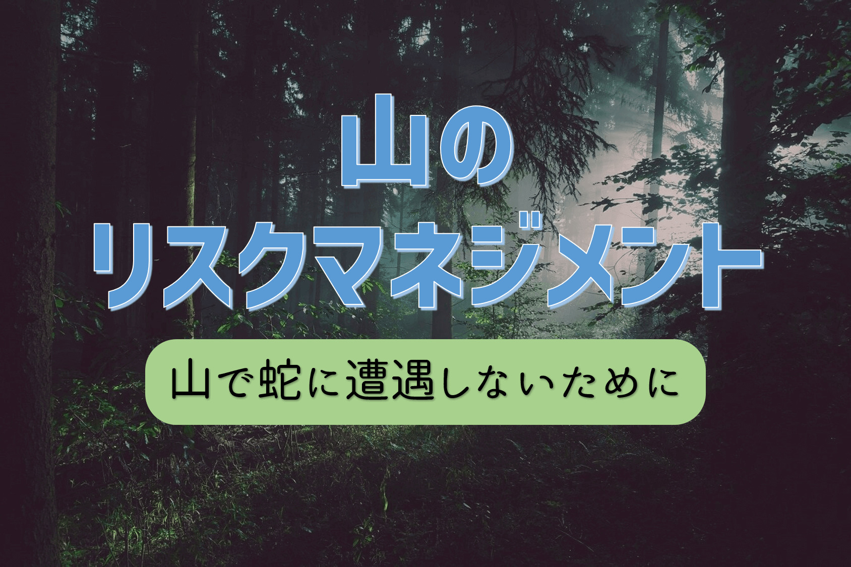 黒い蛇の正体 ココからハイクnoasobi ココロとからだに野遊びを