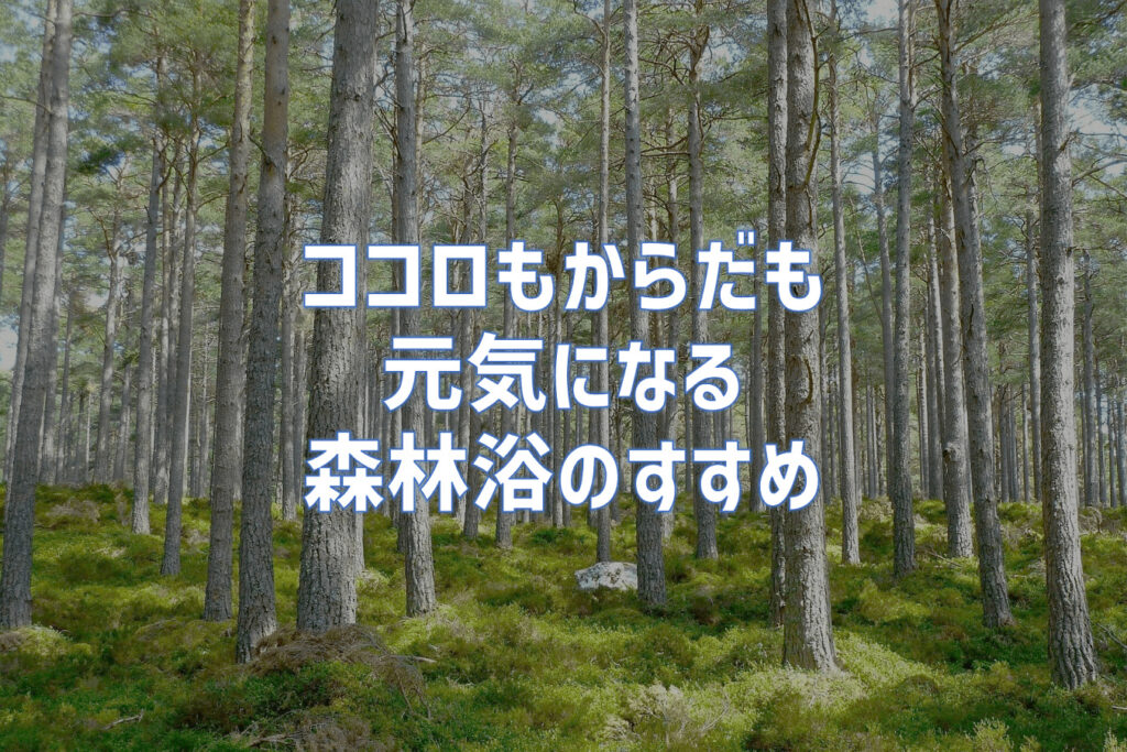 ココロもからだも元気になる森林浴の効果｜休日は森林浴がおすすめです