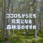 ココロもからだも元気になる森林浴の効果｜休日は森林浴がおすすめです