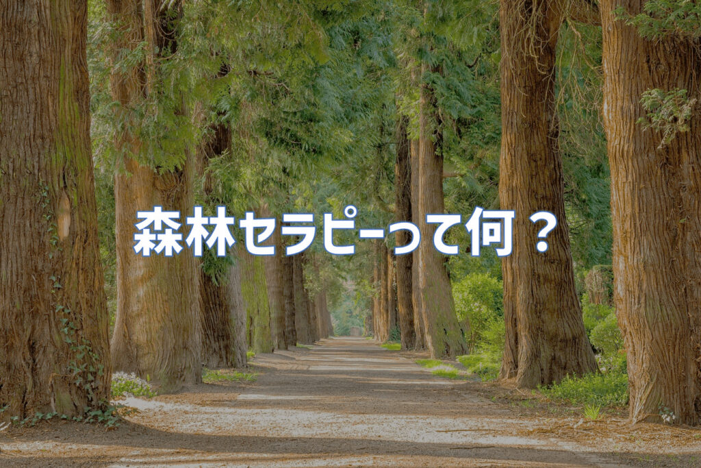 森林セラピーロードは継続的な投資が必要【森林セラピーの紹介】