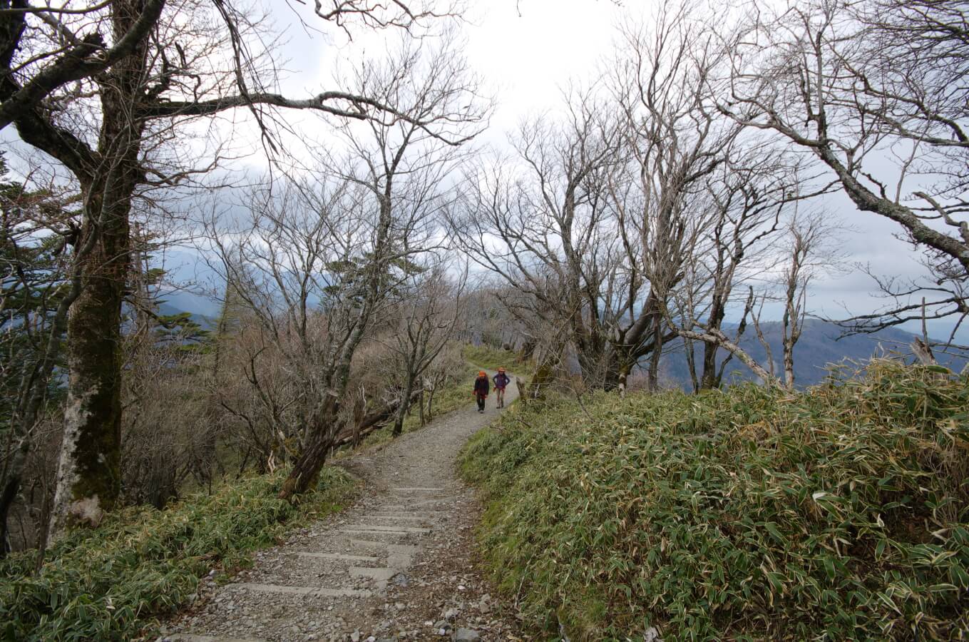 剣山の登山道