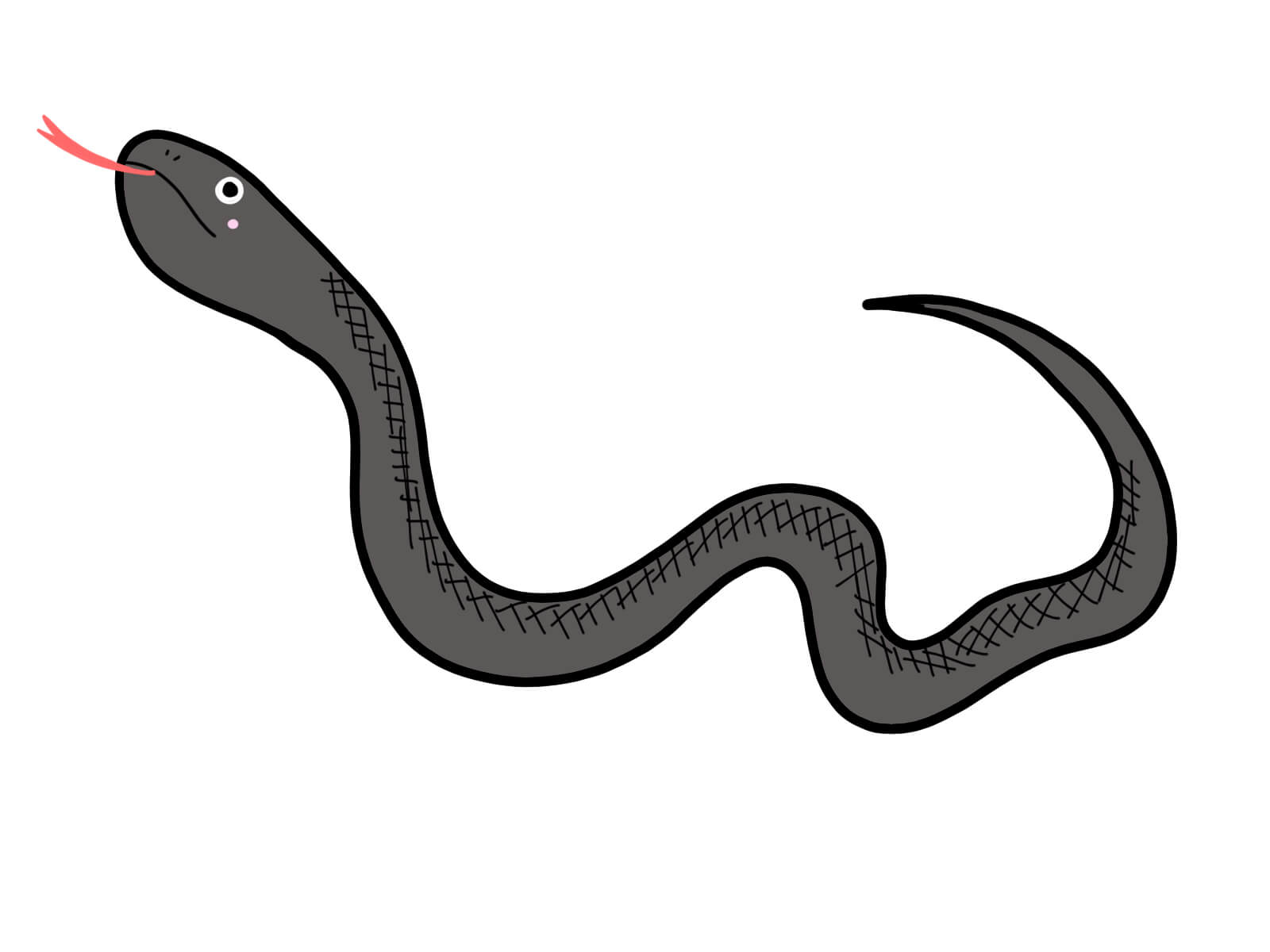 黒い蛇の正体 ココからハイクnoasobi ココロとからだに野遊びを