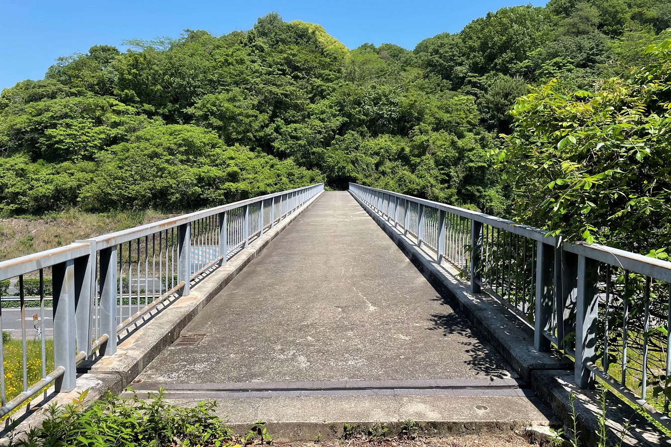 極楽寺山登山道高速道路高架橋