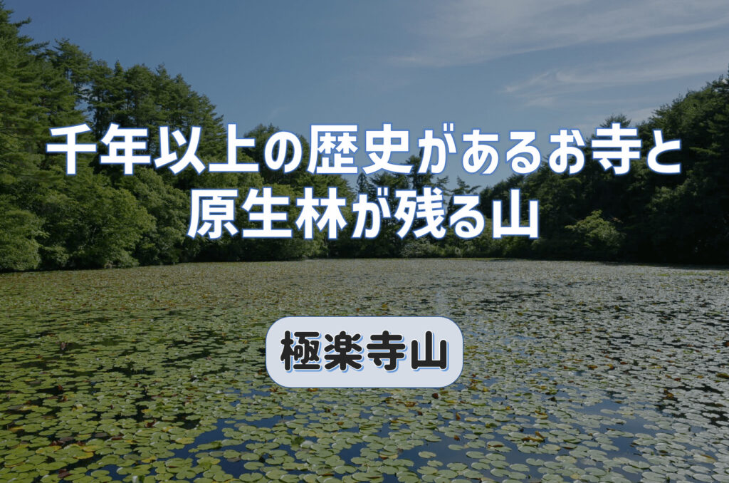 千年以上の歴史あり・原生林が残る極楽寺山は登りごたえのある山