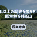 千年以上の歴史あり・原生林が残る極楽寺山は登りごたえのある山