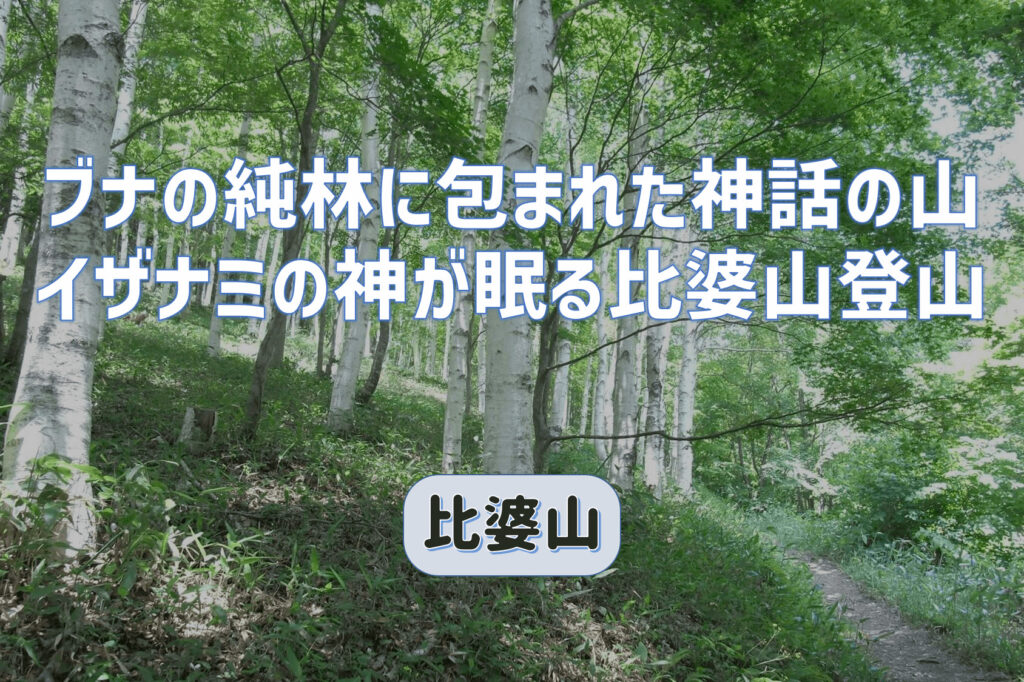 ブナの純林に包まれた神話の比婆山登山｜確かにここにはイザナミの神が