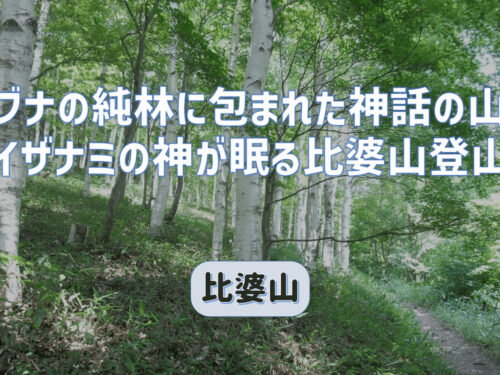 ブナの純林に包まれた神話の比婆山登山｜確かにここにはイザナミの神が
