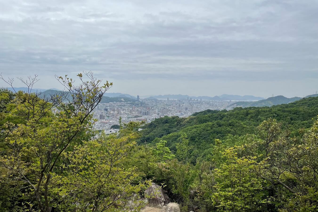 武田山登山道からの展望