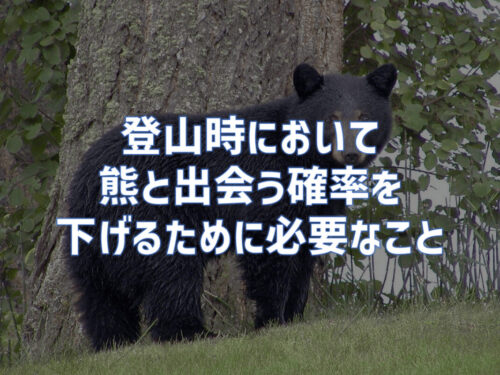 登山時に熊と遭遇する確率を下げるために必要なこと