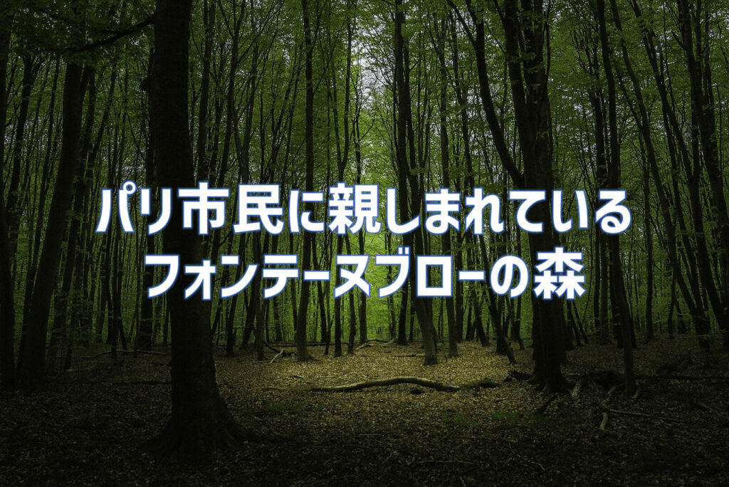 パリ市民に親しまれているフランスのフォンテーヌブローの森