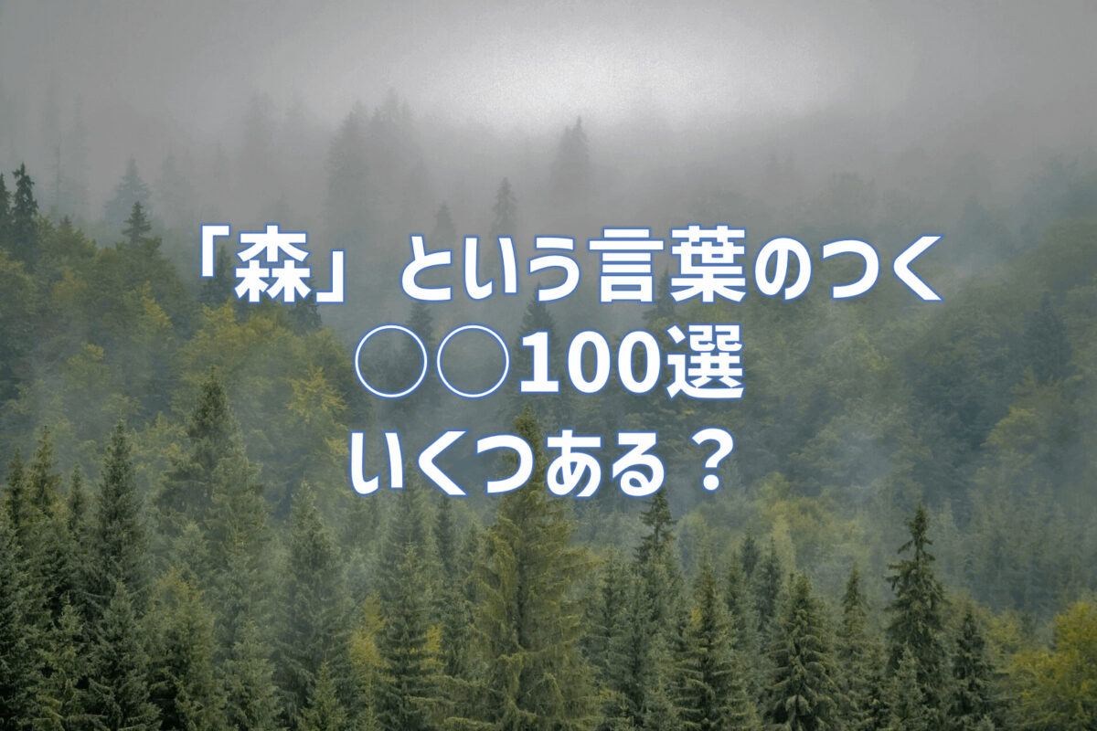 日本の森100選に代表される『森』という言葉がつく100選｜いくつある？