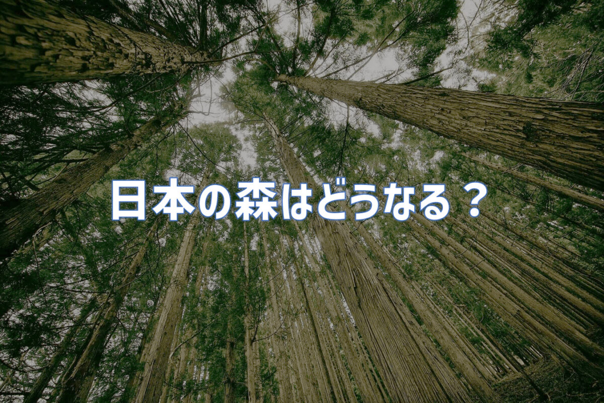 日本の森はこれからどうなっていくのか？日本の森の現状をお伝えします
