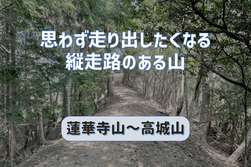 思わず走り出したくなる縦走路のある山｜蓮華寺山と高城山登山