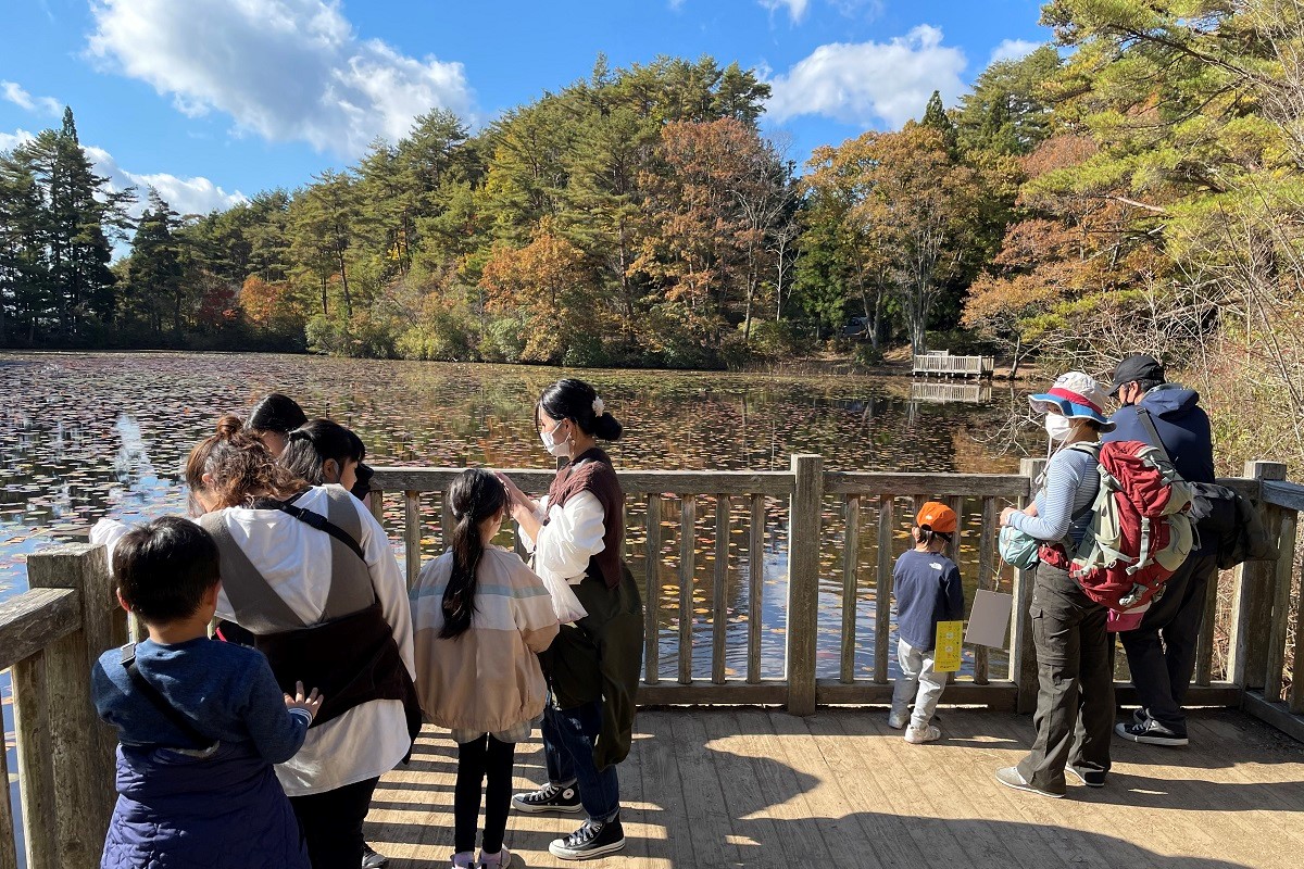 極楽寺山蛇の池