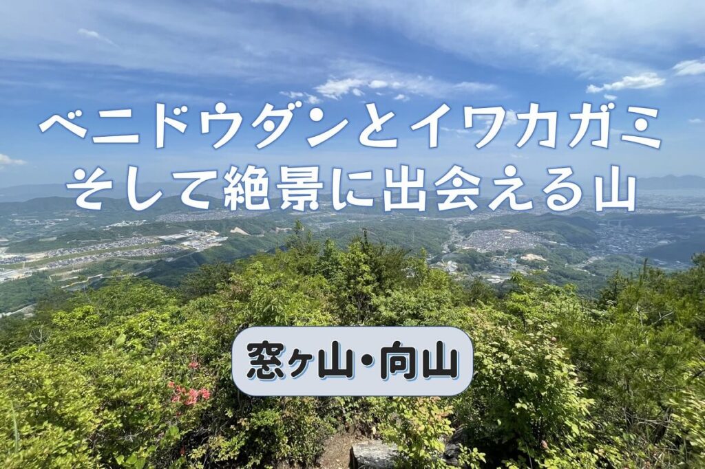 ベニドウダンとイワカガミ、そして絶景に出会える窓ヶ山と向山